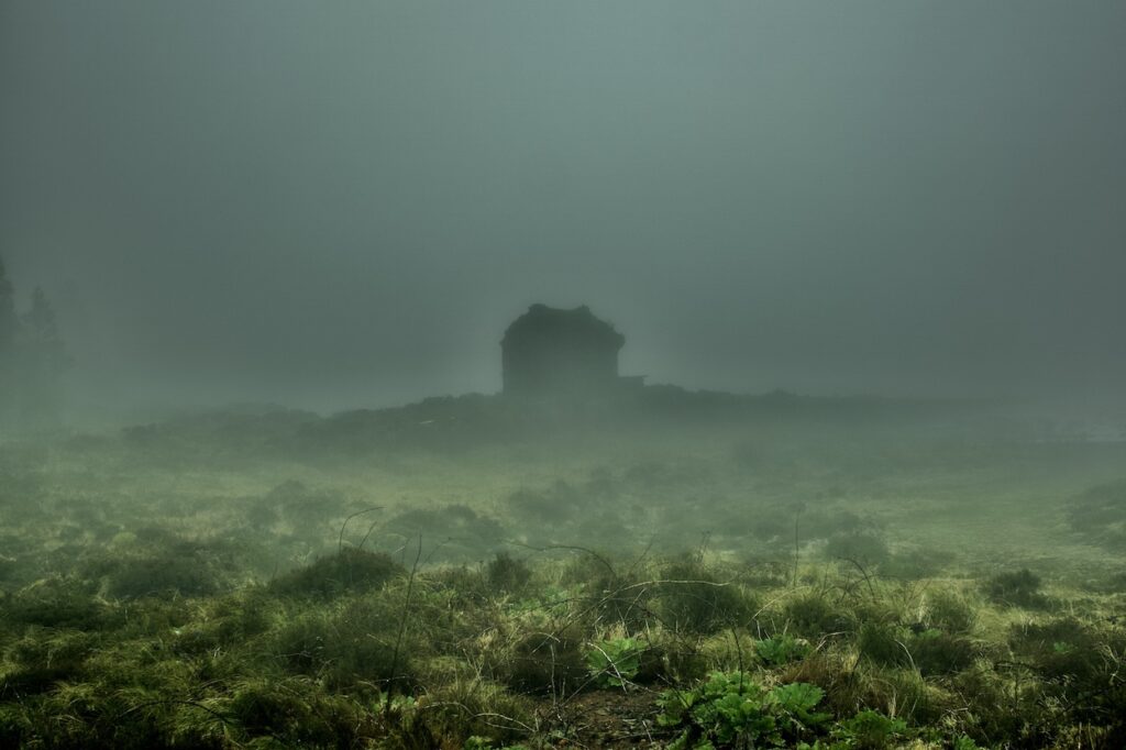 silhouette of a small house in the mist with in the front green vegetation